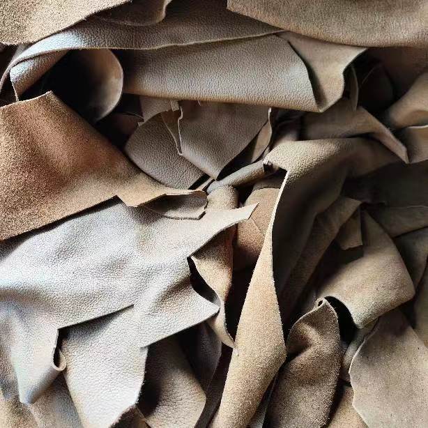 碎真皮可以回收嗎